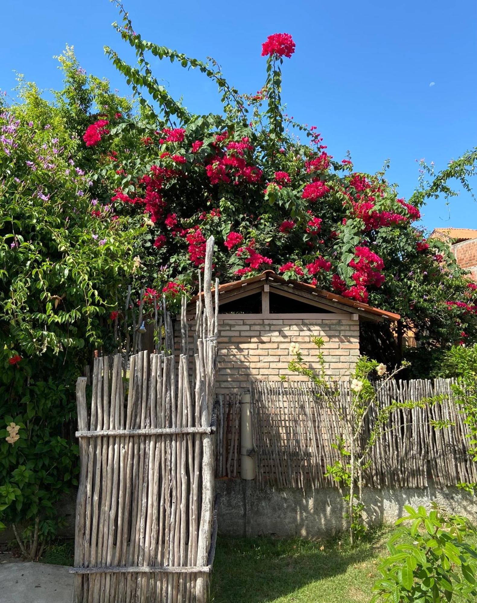 Pousada Sitio Araça São Miguel dos Milagres Extérieur photo